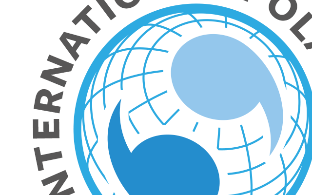 International Polar Year Logo